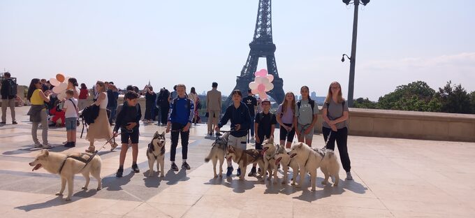 cani rando paris.jpg